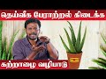 Katralai Benefits in Tamil | வீடு சுபிக்ஷமாக இருக்க கற்றாழையை பூஜை முறை | Aloe Vera Astrology