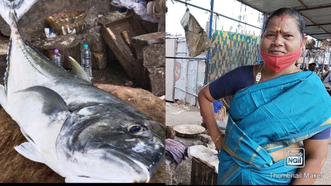 perum paarai fish cutting video/ fishcuttingrs 