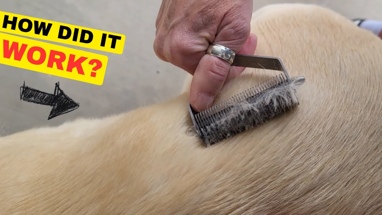 Pippi Likes Review: How Effective At The Deeper Undercoat? Double Sided Dog Grooming Brush Rake