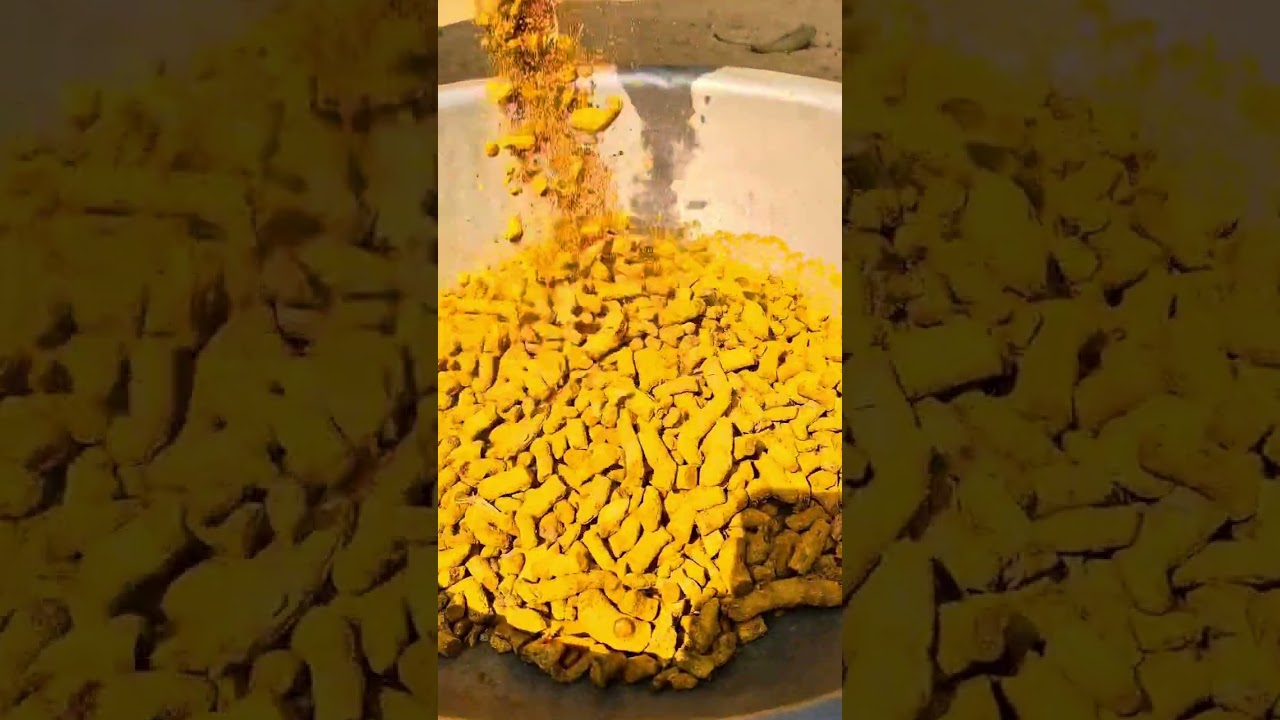 বছরের শুরুতেই বিজনেসের কাজ শুরু করলাম 