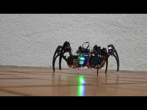 Dneva elektrotehnike: Robotski pajek (hexapod)