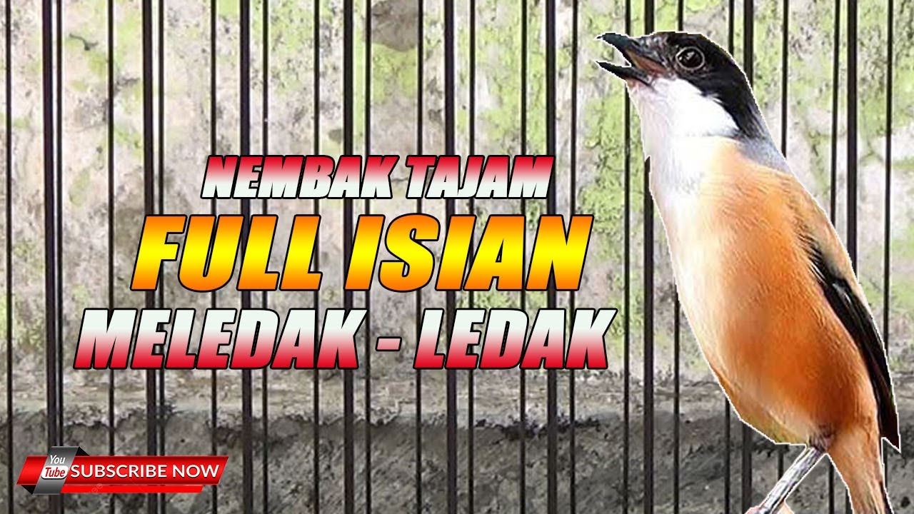 MASTERAN CENDET FULL ISIAN NEMBAK TAJAM PASTI DI LIRIK JURI