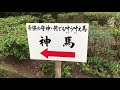 御穂（みほ）神社へ行ってみた！！　静岡市清水区三保