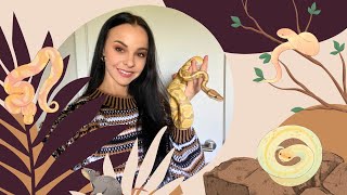 Hoe geef je slangen eten? | Koningspython en haakneusslang 🐍