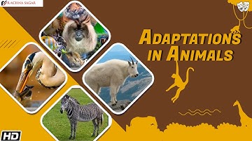 Adaptations in Animals | Be a Scientist Class 4 | Best Learning Videos For Kids | Rachna Sagar
