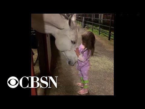 Little girl soothes horse in viral video