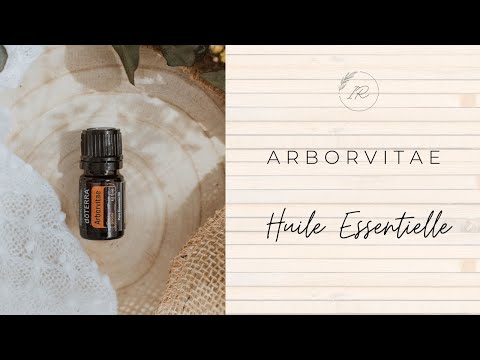 L'huile Essentielle Arborvitae - L'arbre de la vie!