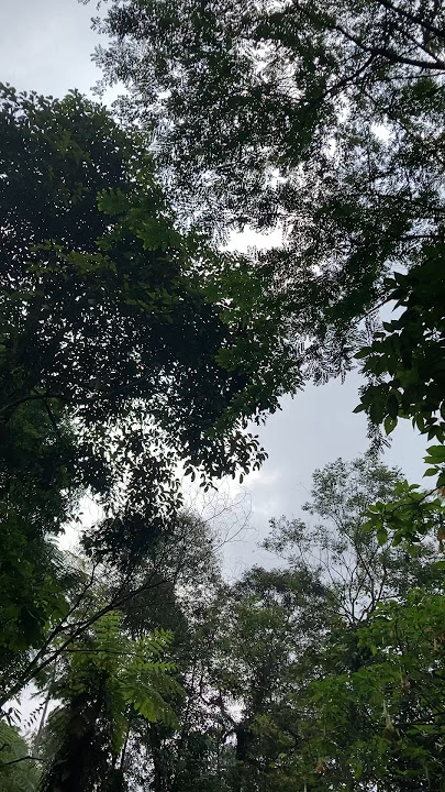 Mandi pagi di curug balong endah