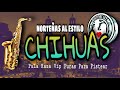 Norteñas Estilo Chihuas Pala Raza Vip Puras Para Pistear