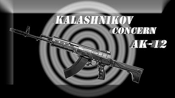 Video Game Weapons in History : AK 12