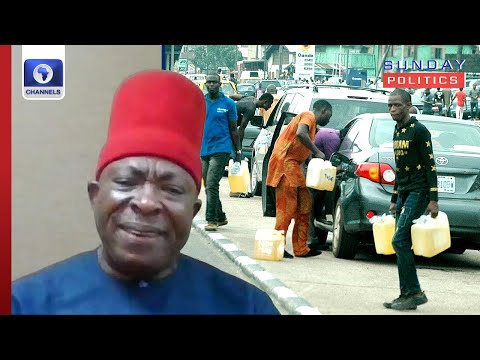 Victor Umeh Calls For Sack Of Petroleum Industry Managers In Nigeria | Sunday Politics