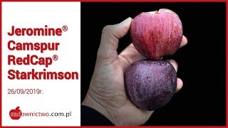 Jeromine, Camspur, RedCap, Starkrimson - Red Delicious - challenge