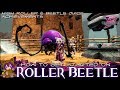 Guild wars 2  how to get started on the roller beetle mount high roller achievement