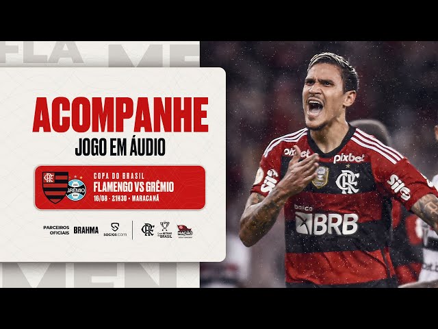 Assistir Grêmio x Flamengo ao vivo online 25/10/2023 ⋆