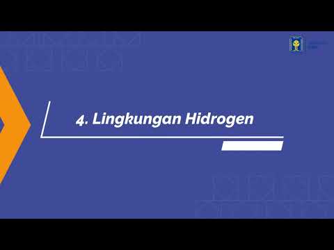 Video: Tembok Sel Tumbuhan Yang Profilkan Oleh Pemulihan Pembinaan Kemungkinan Maksimum (FMLR) Dan Rantau Serantau (ROI) Bagi Penyelesaian-penyelesaian 2D 1 H-13 C NMR Spektrum