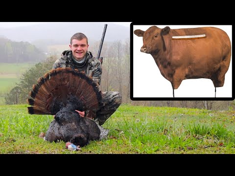 TURKEY HUNTING WITH A COW BLIND! (Wild Turkey Catch Clean Cook)