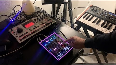 Testing Beetlecrab Audio Tempera - My New Favorite Granular Synth