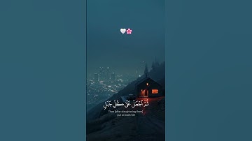 وإذ قال إبراهيم ربي أرني كيف تحي الموتى | تلاوة خاشعة قرآن كريم