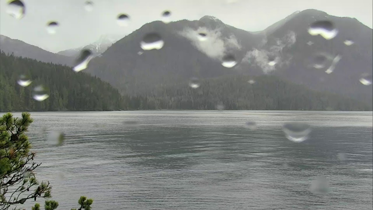 Robson Bight Orca Lookout 04-05-2019 