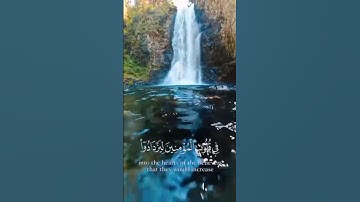 تلاوة تخشع لها القلوب❤️📖