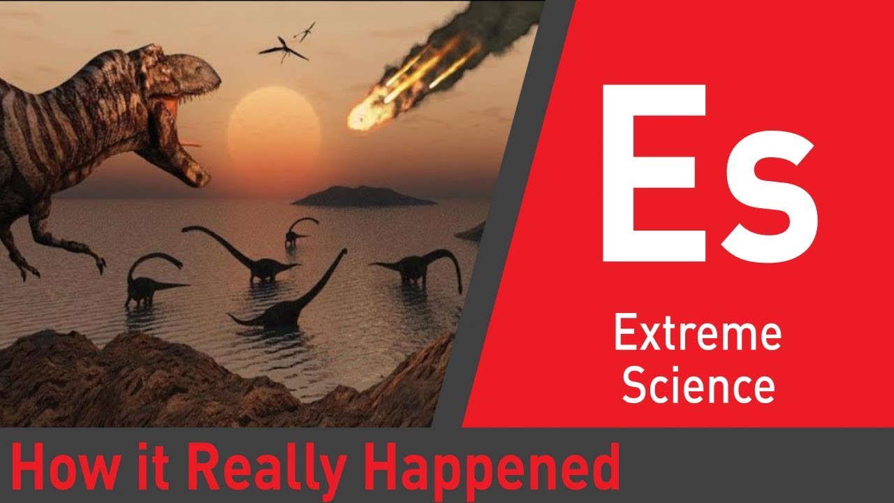 How Asteroids Really Killed The Dinosaurs Part 1 Last Days of the