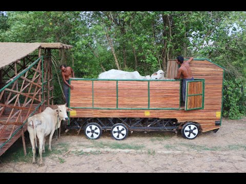 Building the most creative bamboo  truck house for cow  bamboo truck house 