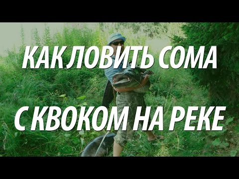 ловля сома на квок с лодки на средней волге