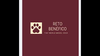 Reto Benéfico- Tiny Model Ruth Enid