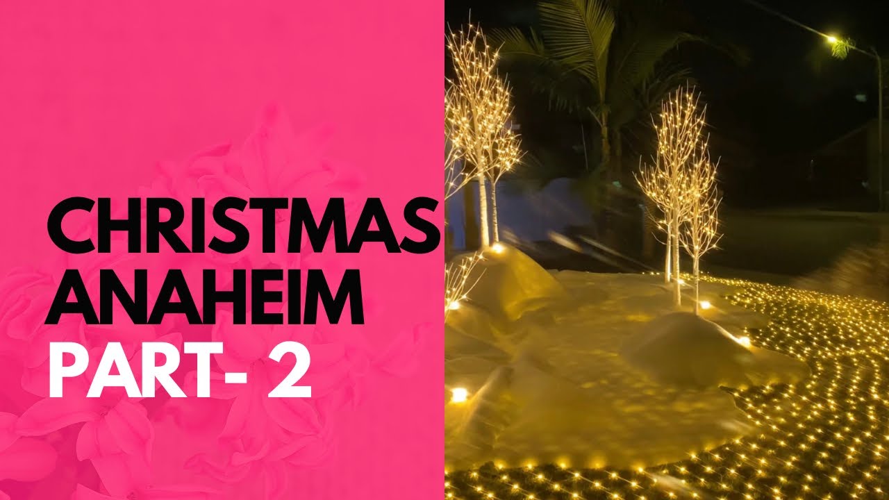 Christmas in Anaheim part - 2  /  Travellife Javad Gee