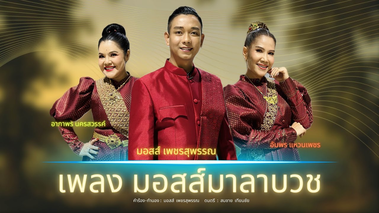 มอสส์มาลาบวช - มอสส์เพชรสุพรรณ