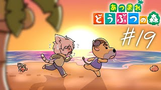 【 あつまれどうぶつの森 】8月になったしいろいろやっていこうぜ #19【白瀧炬燵/One Lyric】