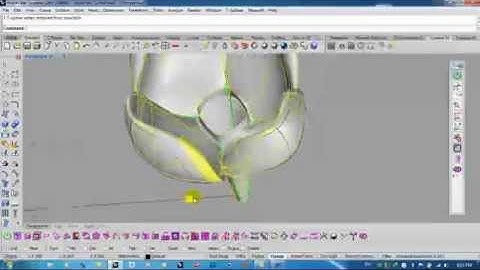 tulips by Rhino 4 and T splinespart 1