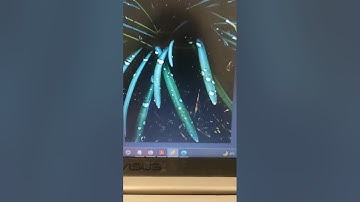 Using Stegosuite command to hide text file into an image on Kali Linux