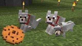 Trucos,Cosas Ocultas Minecraft Xbox 360