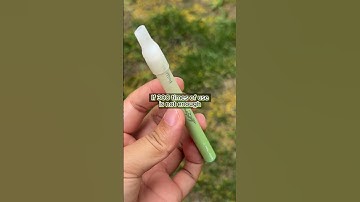 Transforming my room into a cozy oasis with my new mullein diffuser #mullein