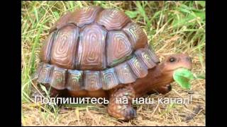 Галерея любопытных поделок из дерева видео Как сделать деревянные изделия привлекательнее