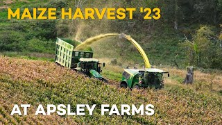 Maize Harvest 2023 - Apsley Farms