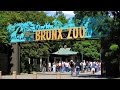 DAY AT THE BRONX ZOO