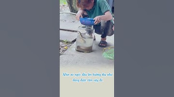 Rồi ngâm rượu rắn hay tắm rắn đây