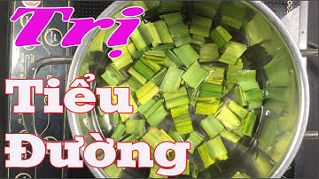 Chữa dứt điểm bệnh Tiểu Đường bằng lá dứa thơm tại nhà ít người biết [Sức khỏe]