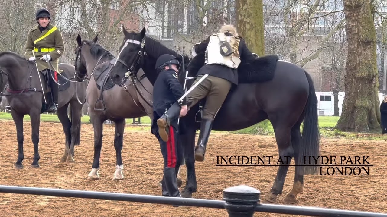 Incident at Hyde Park #uk #london #hydepark #england #horse #horses