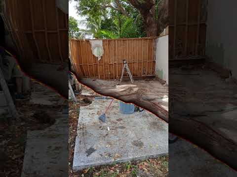 Exterior Demolition in Action: Shed Removal & Backyard Transformation!