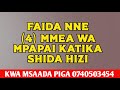 ZIJUE FAIDA NNE 4 ZA TUNDA LA PAPAI MAJANI YAKE NA MTI WAKE KWA UJUMLA ZIJUE FAIDA NNE 4 ZA TUNDA LA PAPAI MAJANI YAKE NA MTI WAKE KWA UJUMLA