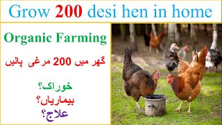 Organic Poultry Farming Modern Hen Farming 2020 Griffin Poultry