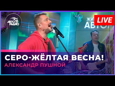 Александр Пушной - Серо-жёлтая Весна! (LIVE @ Авторадио)