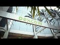Dexcom - Learn More About Us