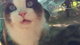 봄여름가을겨울 사계절이 다 모였습니다.