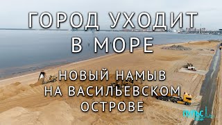 Намыв северной части Васильевского острова - каким он будет?