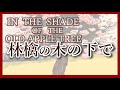 ♫ 1905年 当時の曲はラブソングではなかった/林檎の木の下で In the Shade of the Old Apple Tree. #IROMBOOK の日本語作詞アレンジ。