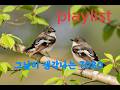 이런 사랑, 다시 올까요? 우리라는 기적 (7080 감성)